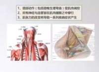 张克镇的生命空间论循源医学