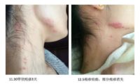 张克镇的循源医学的生命空间论
