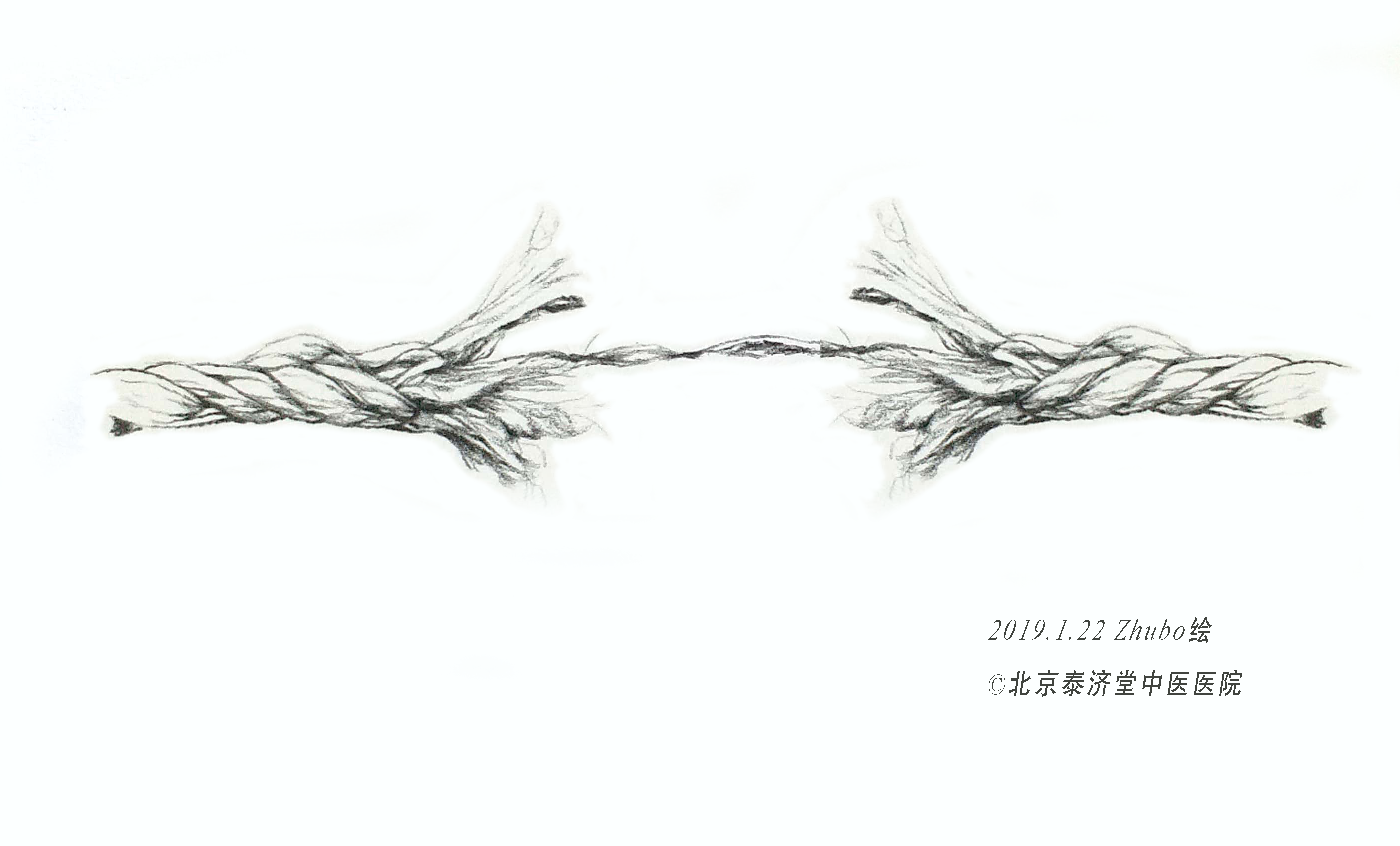 北京泰济堂中医医院-体检指标看着没有大问题，但人体健康可能存在重大隐患。如图中的绳子一样，只靠最弱一环撑着，绳子还是连着的，但稍一受刺激就会整个断掉，人的健康可能会崩盘。