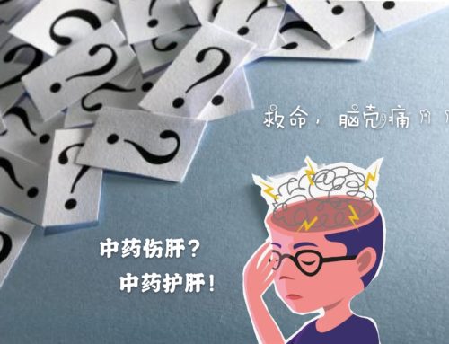 中药能治肝损伤！