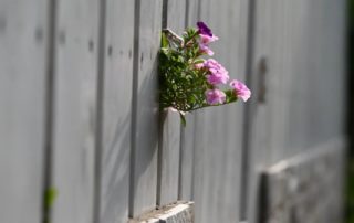 泰济堂中医医院公益项目