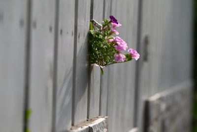 泰济堂中医医院公益项目